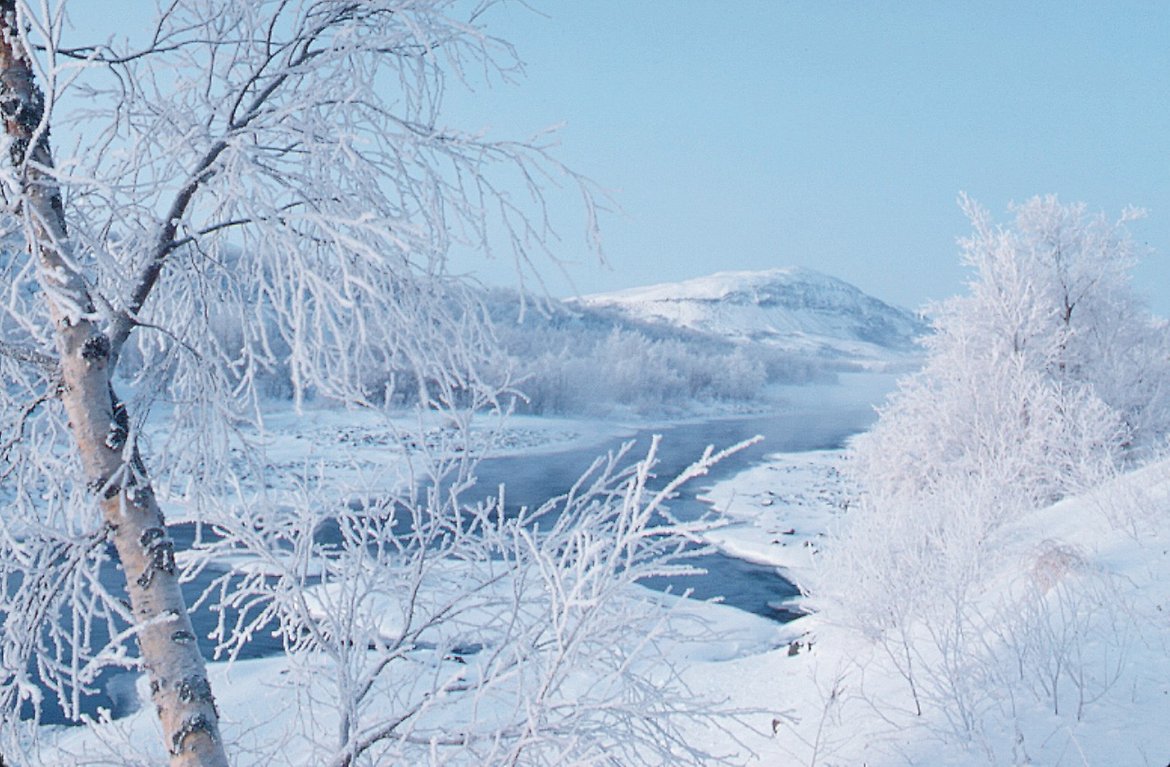 Vinterlandskap