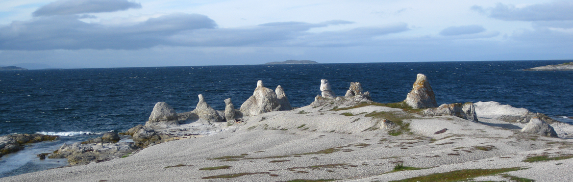 Forsidebilde Trollholmsund Sommer